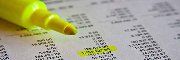auditor and accountant responsibilities