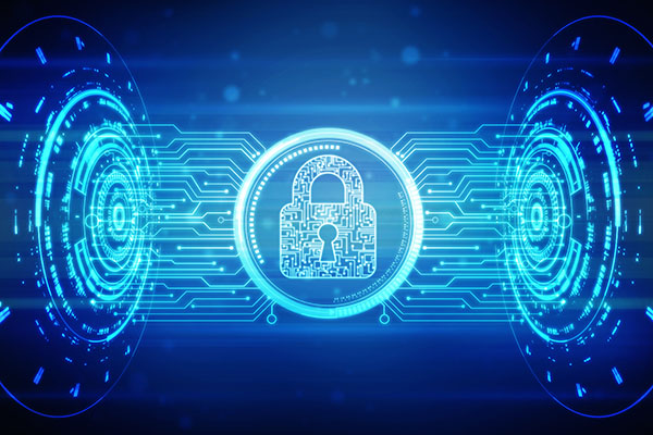 cyber crime