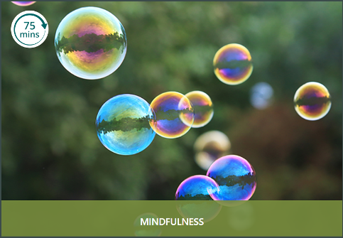 mindfulness pF