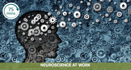 Neuroscience