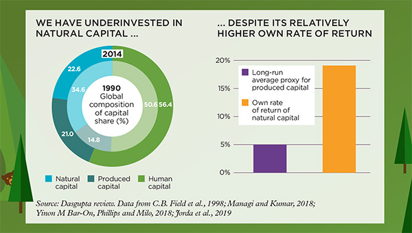natural capital