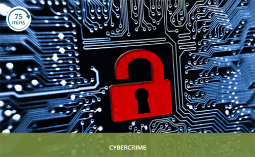 professional-refresher-cyber crime